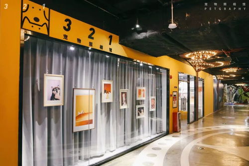 疫情中，一個寵物照相館老板的心路歷程